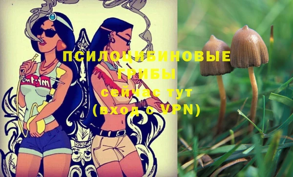 молекула духа Володарск