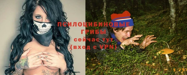 молекула духа Володарск