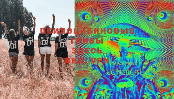молекула духа Володарск
