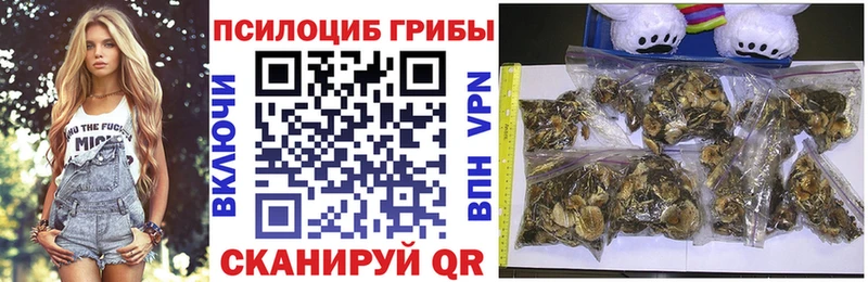 Псилоцибиновые грибы GOLDEN TEACHER  Чусовой 